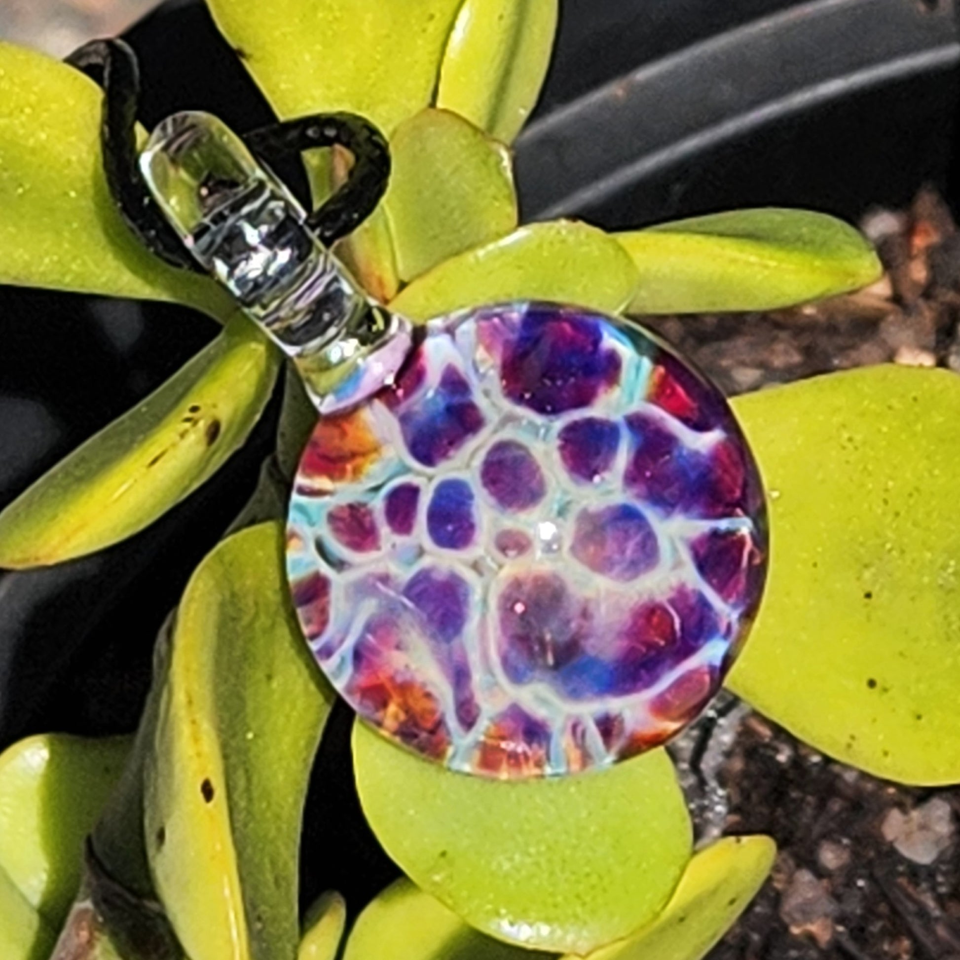 Handmade borosilicate glass pendant featuring vibrant purple, red, and blue hues in a bubble dot pattern, displayed on green succulent.