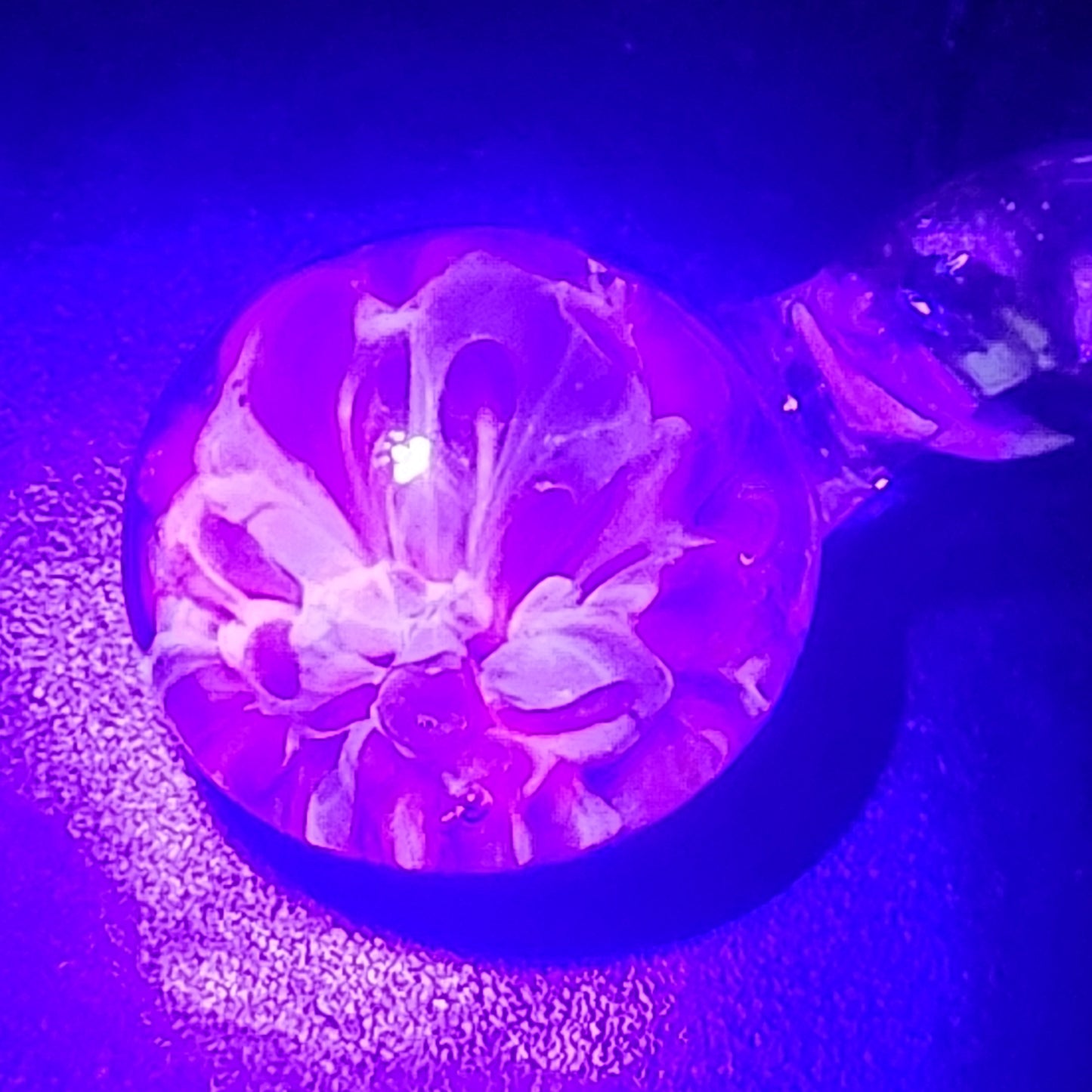 UV Glow Glass Pendant illuminated in blacklight, glowing pink with floral detail. Handmade blown glass charm perfect for night events and raves.
