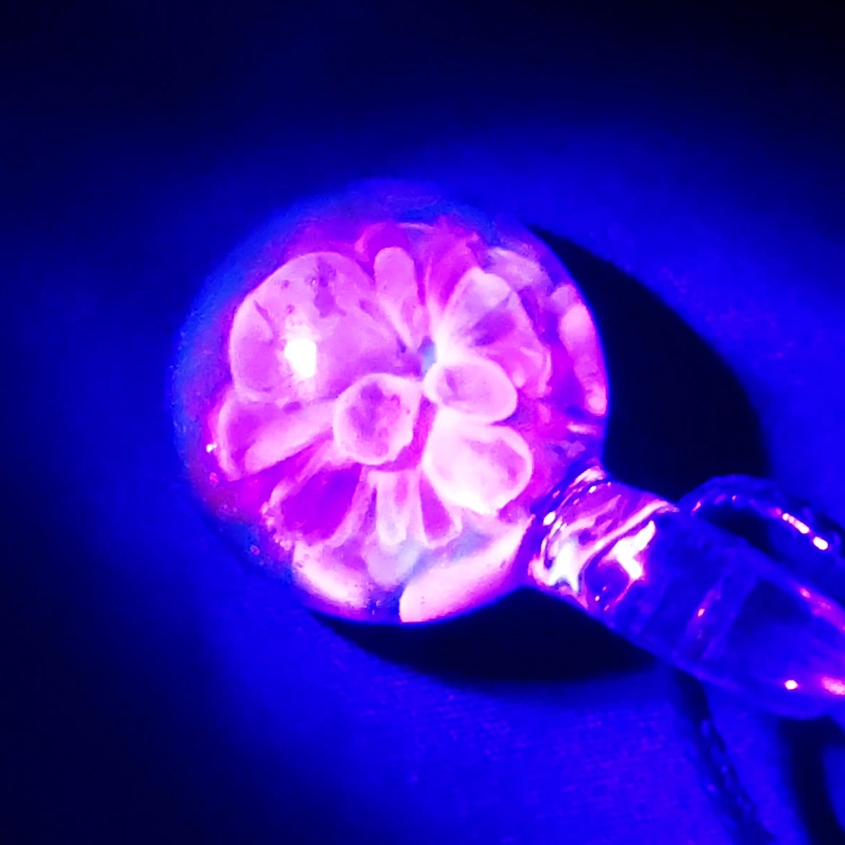 Glowing UV effect of Handmade Borosilicate Glass Pendant with radiant pink and purple flower petals under blacklight.