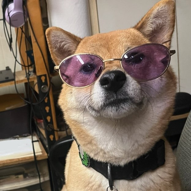 This image shows a Shiba Inu dog wearing stylish, round, purple-tinted sunglasses. The dog has a confident and cool expression. The overall vibe is playful and humorous, giving the impression of a fashionable and self-assured pet.
